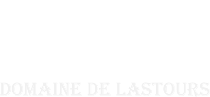 SOC DOMAINE LASTOUR EPICERIE